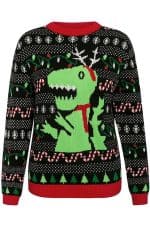 Pull Moche Dinosaure Femme