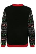 Pull Moche Dinosaure Femme - Vue de dos