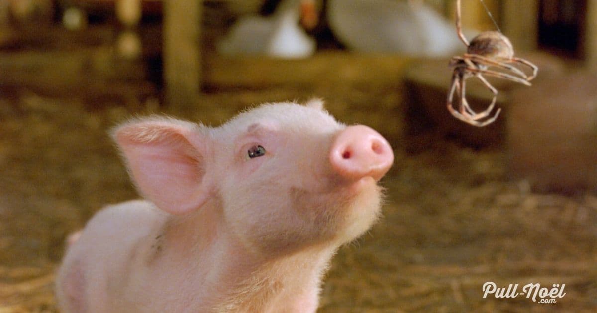 Le petit monde de Charlotte