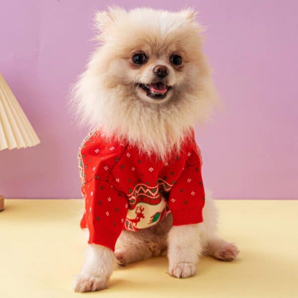 Pull Noël Rouge Chihuahua motif rennes