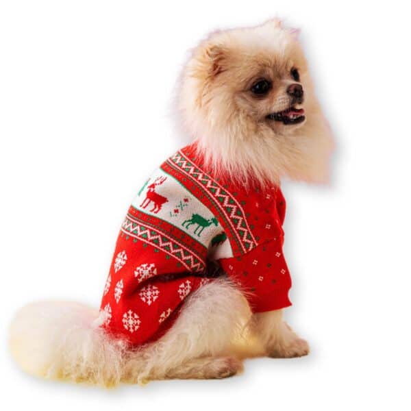 Pull Noël Rouge Chihuahua motif rennes de Noël Pull Noël Rouge Chihuahua motif rennes de Noël