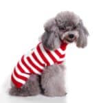 Pull chien rayé rouge & blanc Père Noël vue côté