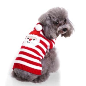 Pull chien rayé rouge & blanc Père Noël vue dos