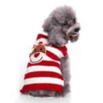 Pull chien rayé rouge & blanc Rudolphe Renne de noël vue derrière