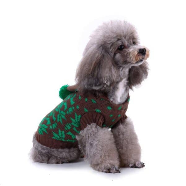 Pull de Noël petit chien marron flocon de neige vue face