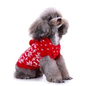 Pull de Noël petit chien rouge flocon de neige vue de profil