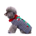 Pull de Noël pour chien gris lutin du père Noël vert vue de coté