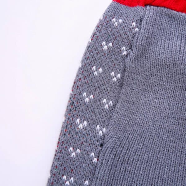 Pull de Noël pour chien gris lutin du père Noël vert vue tissu