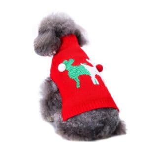 Pull gros chien rouge Rennes de Noël vue dos