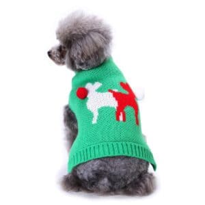 Pull gros chien vert Rennes de Noël vue dos