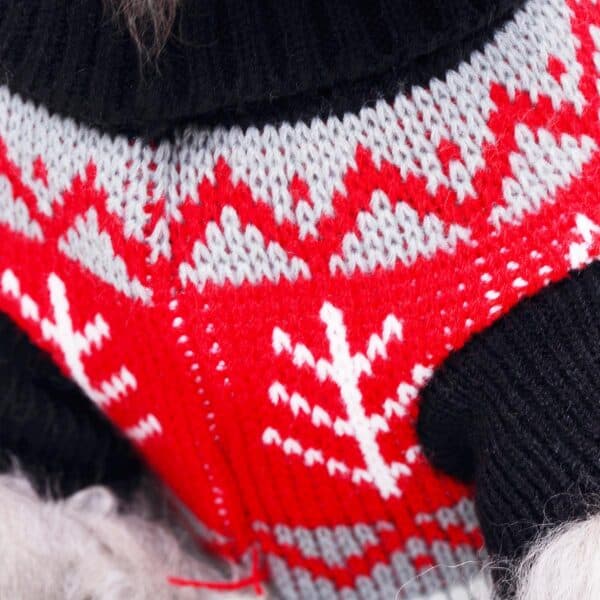 Pull moche chien noir & rouge Jacquard vue col