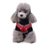 Pull moche chien noir & rouge Jacquard vue face