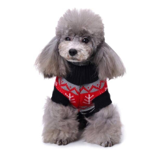 Pull moche chien noir & rouge Jacquard vue face