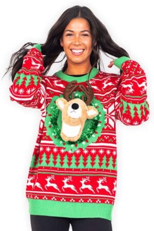 pull tete de renne 3d vue de face